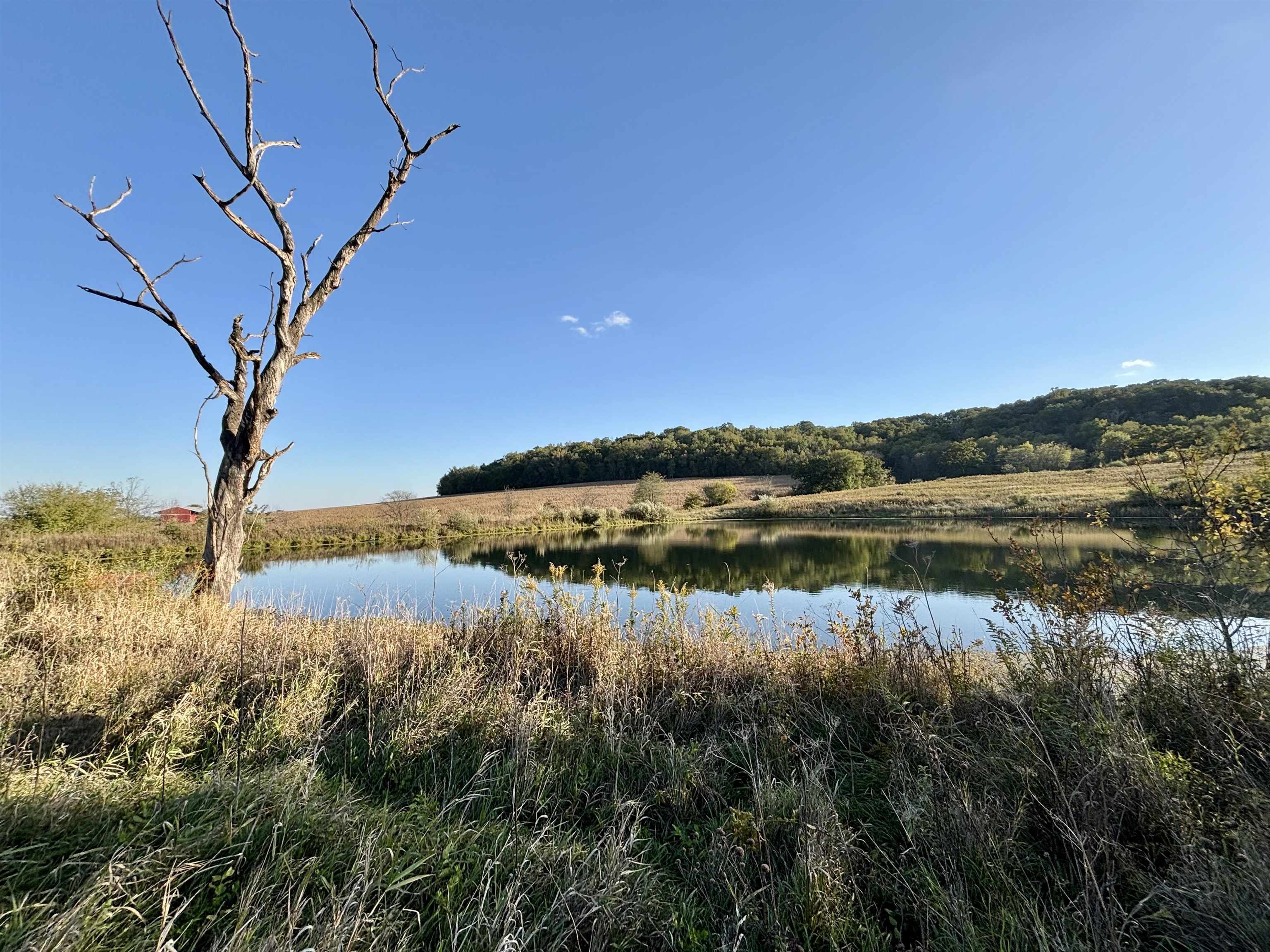 57.83-acres West Menzemer Road Elizabeth, IL 61028 - Photo 13 of 64