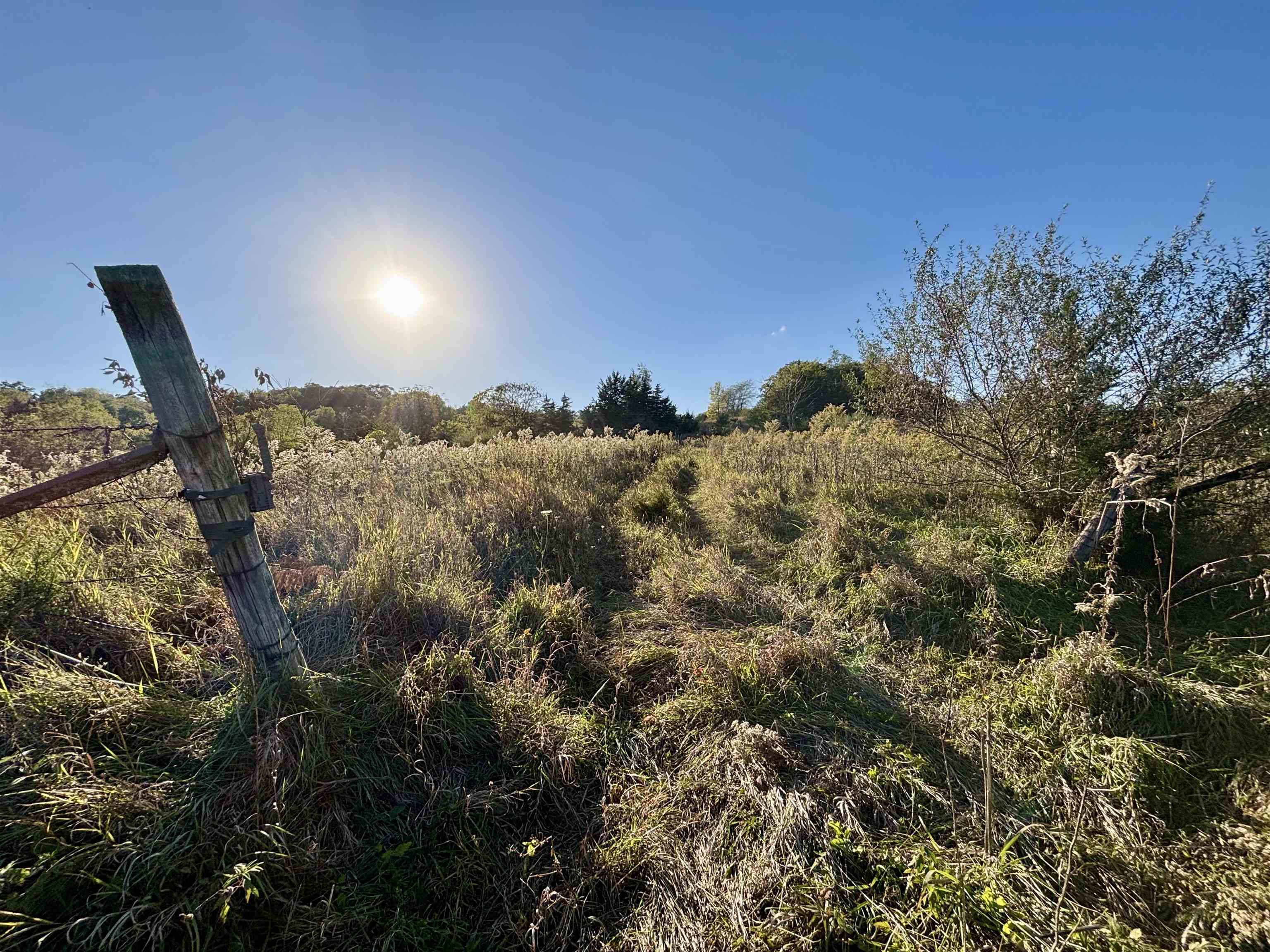 57.83-acres West Menzemer Road Elizabeth, IL 61028 - Photo 13 of 64
