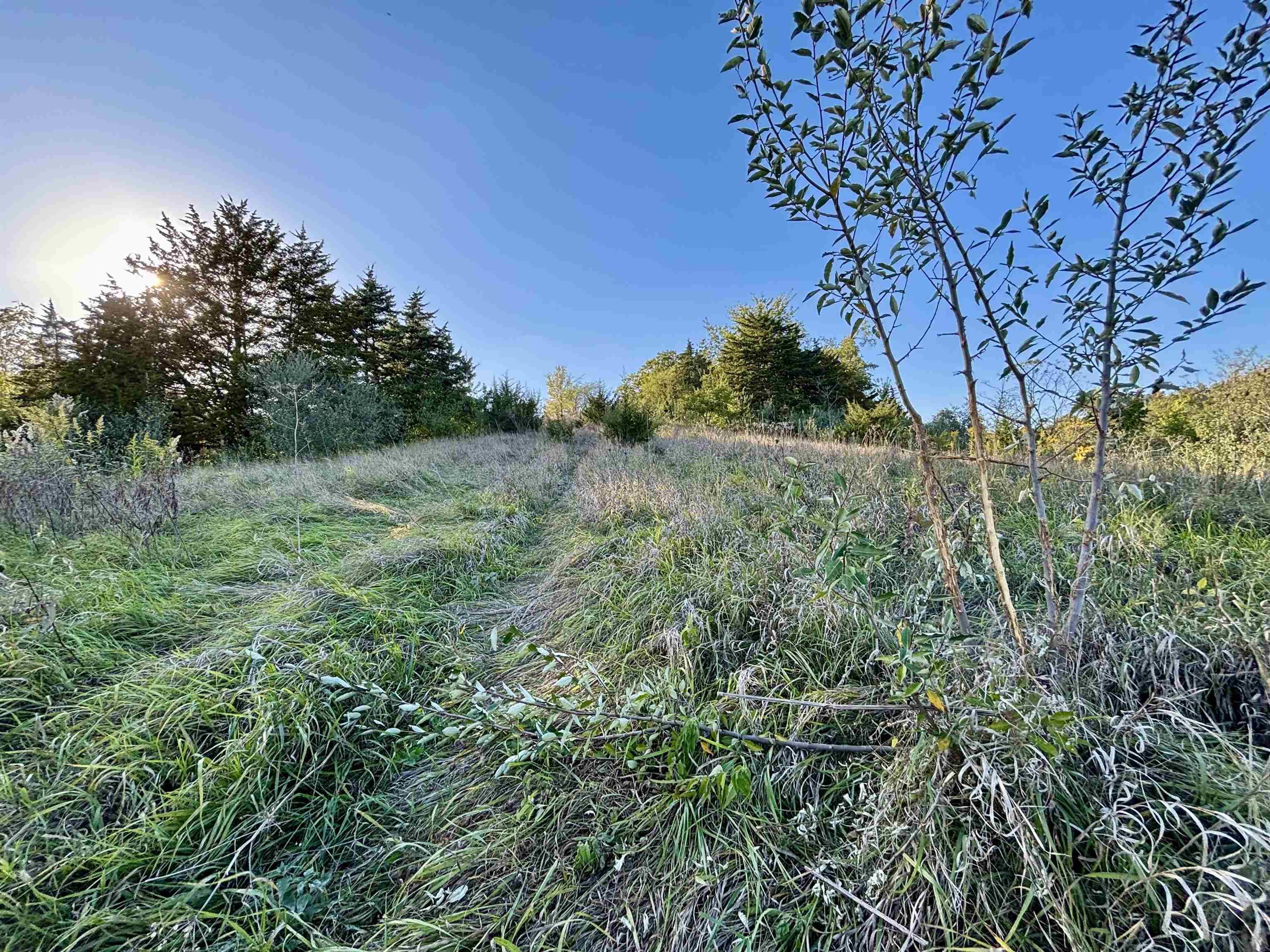 57.83-acres West Menzemer Road Elizabeth, IL 61028 - Photo 14 of 64 a view of a garden