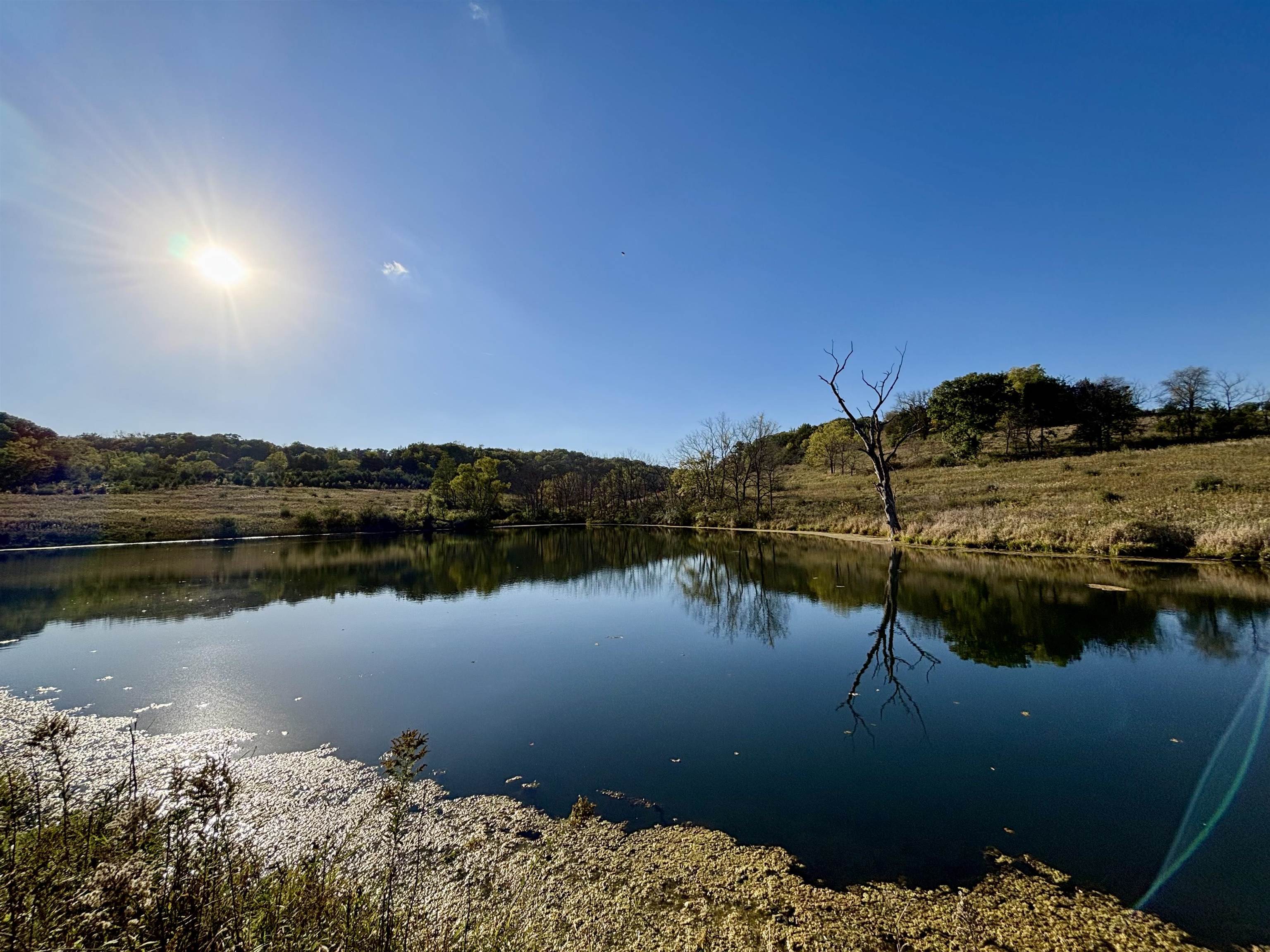 57.83-acres West Menzemer Road Elizabeth, IL 61028 - Photo 14 of 64
