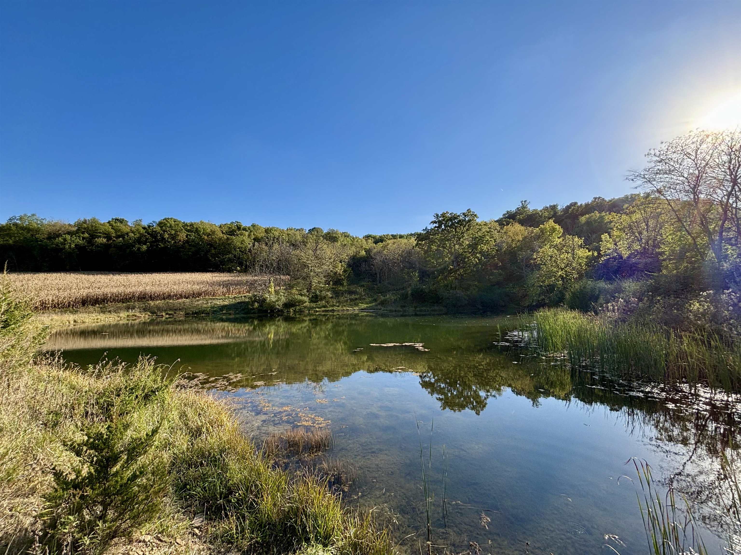 57.83-acres West Menzemer Road Elizabeth, IL 61028 - Photo 16 of 64