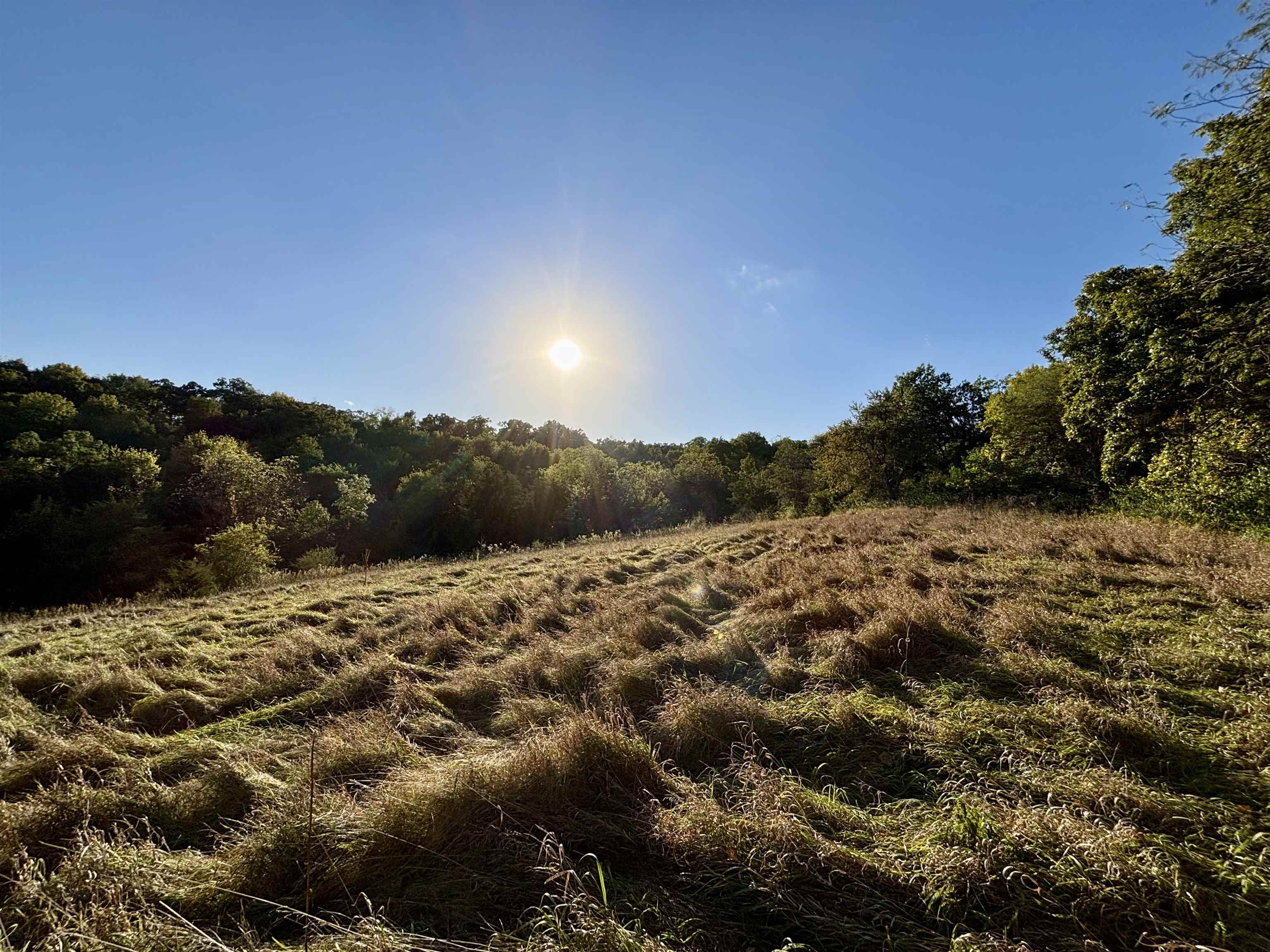 57.83-acres West Menzemer Road Elizabeth, IL 61028 - Photo 17 of 64