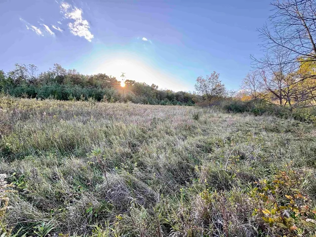 $560,000 | 57.83-acres West Menzemer Road, Elizabeth, IL 61028