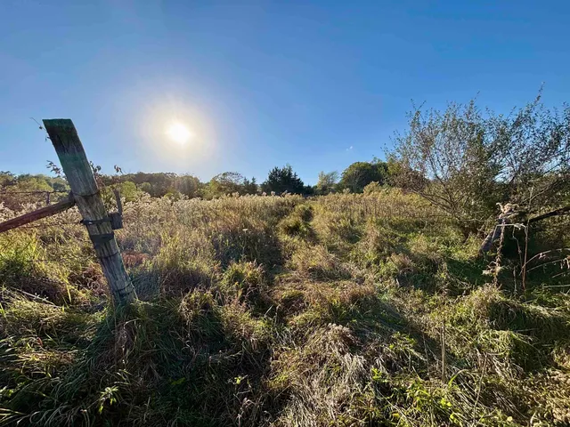 $560,000 | 57.83-acres West Menzemer Road, Elizabeth, IL 61028