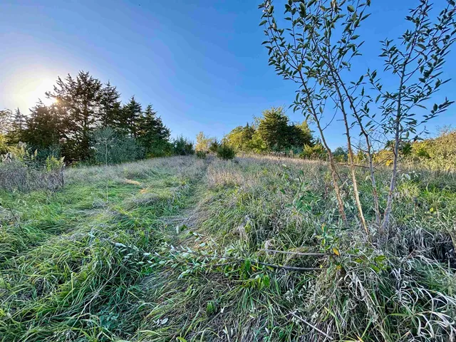 $560,000 | 57.83-acres West Menzemer Road, Elizabeth, IL 61028