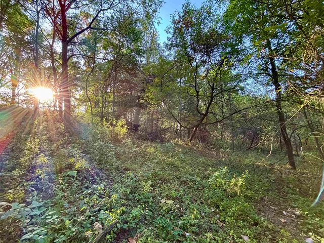 $560,000 | 57.83-acres West Menzemer Road, Elizabeth, IL 61028