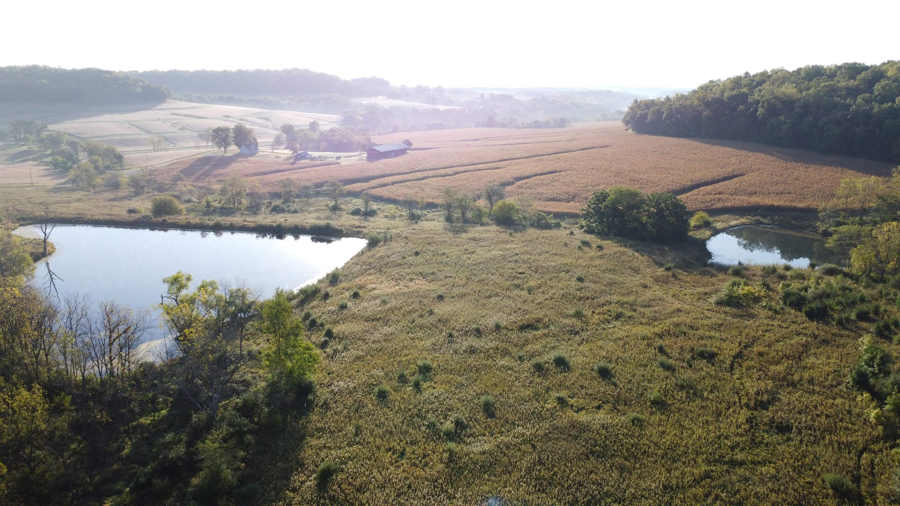 57.83-acres West Menzemer Road Elizabeth, IL 61028 - Photo 2 of 64