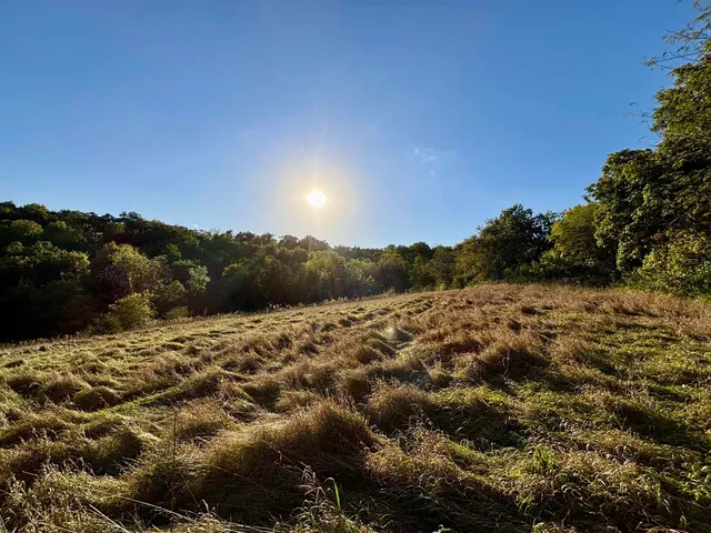 $560,000 | 57.83-acres West Menzemer Road, Elizabeth, IL 61028