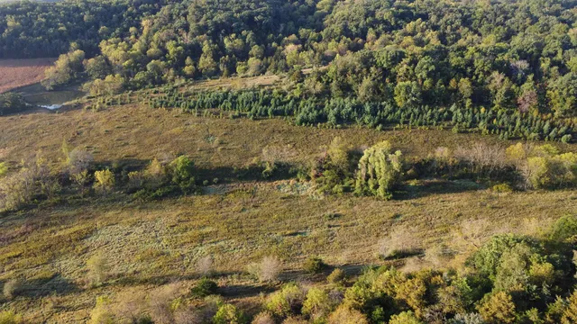 $560,000 | 57.83-acres West Menzemer Road, Elizabeth, IL 61028