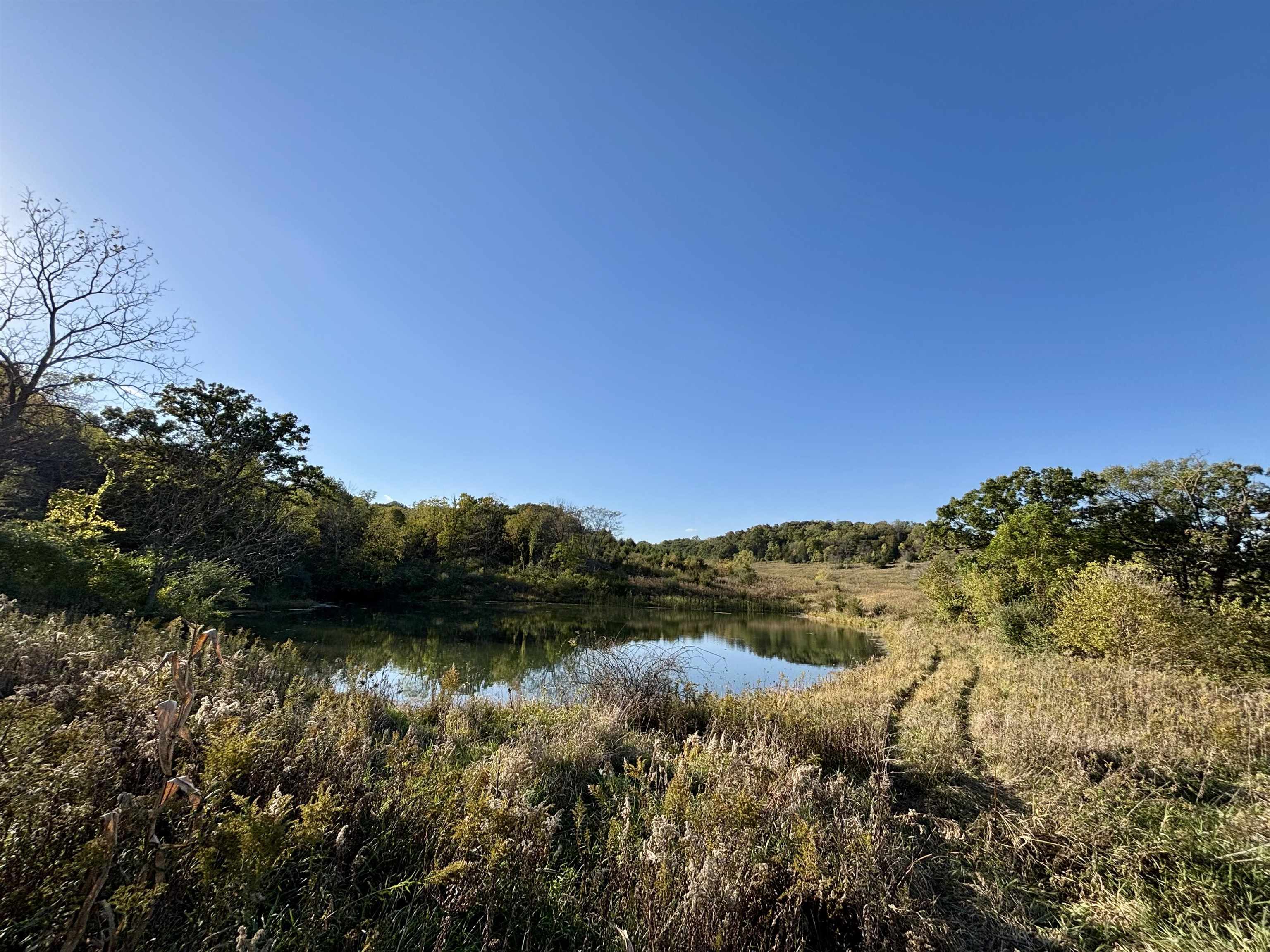 57.83-acres West Menzemer Road Elizabeth, IL 61028 - Photo 29 of 64