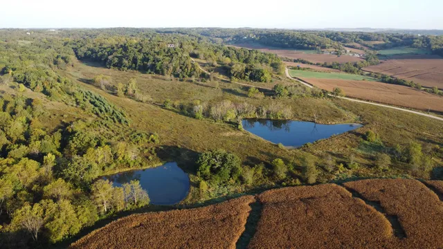 $560,000 | 57.83-acres West Menzemer Road, Elizabeth, IL 61028