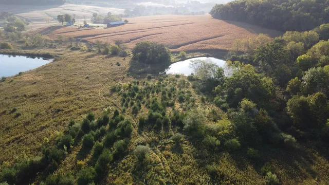 $560,000 | 57.83-acres West Menzemer Road, Elizabeth, IL 61028