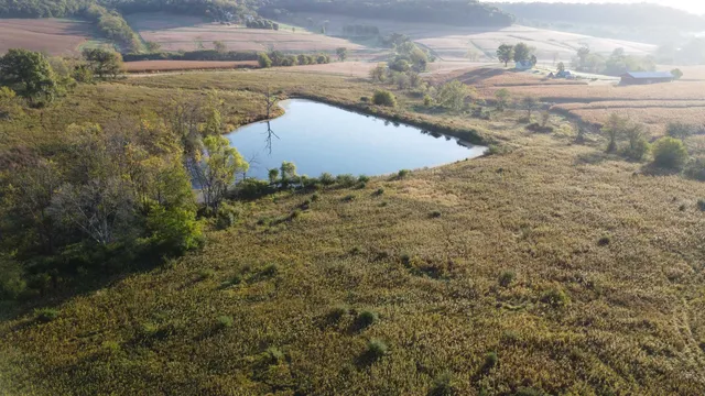 $560,000 | 57.83-acres West Menzemer Road, Elizabeth, IL 61028