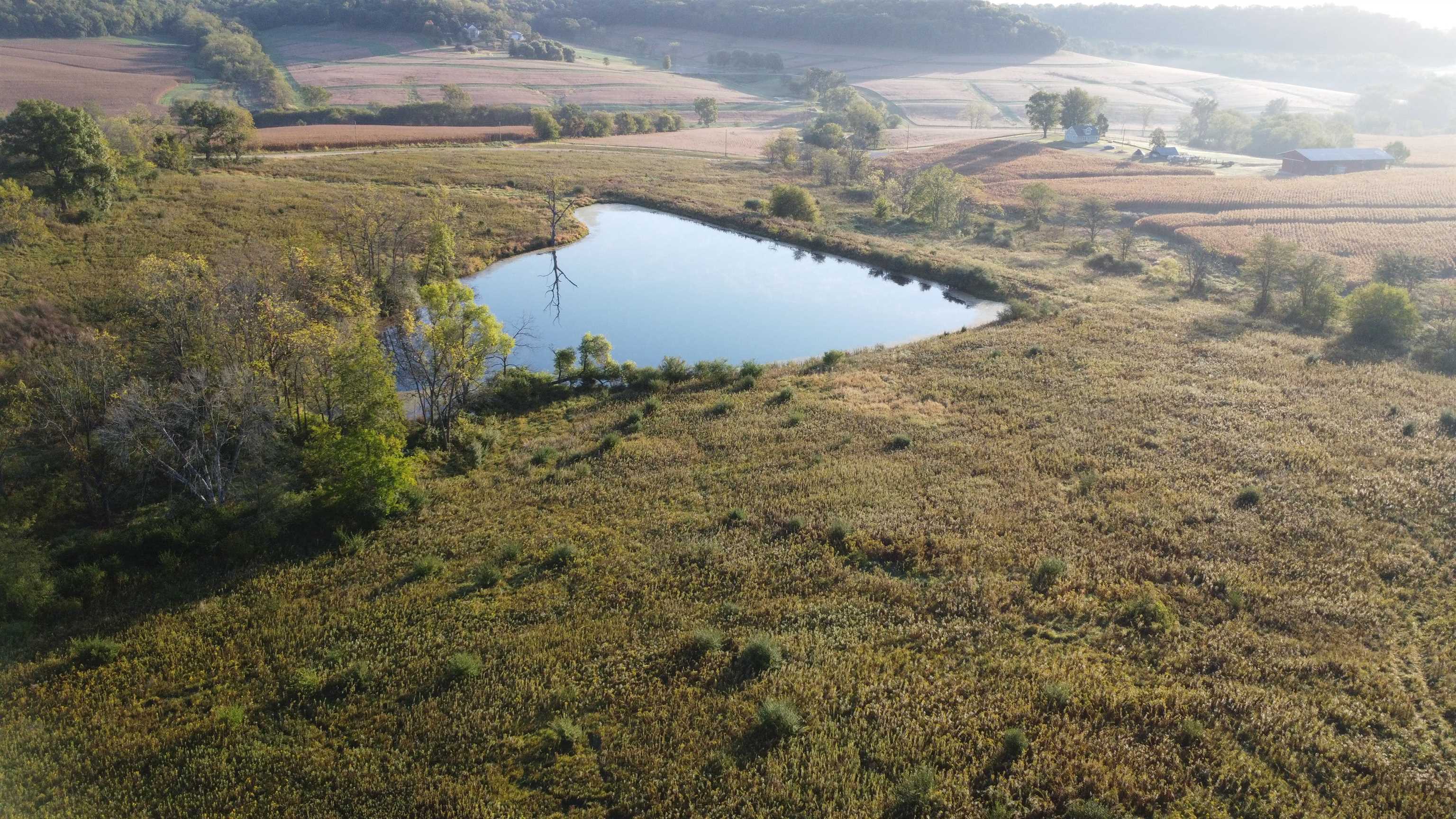 57.83-acres West Menzemer Road Elizabeth, IL 61028 - Photo 34 of 64