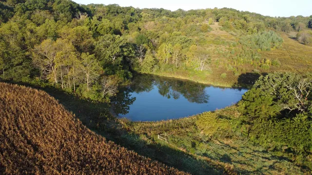 $560,000 | 57.83-acres West Menzemer Road, Elizabeth, IL 61028