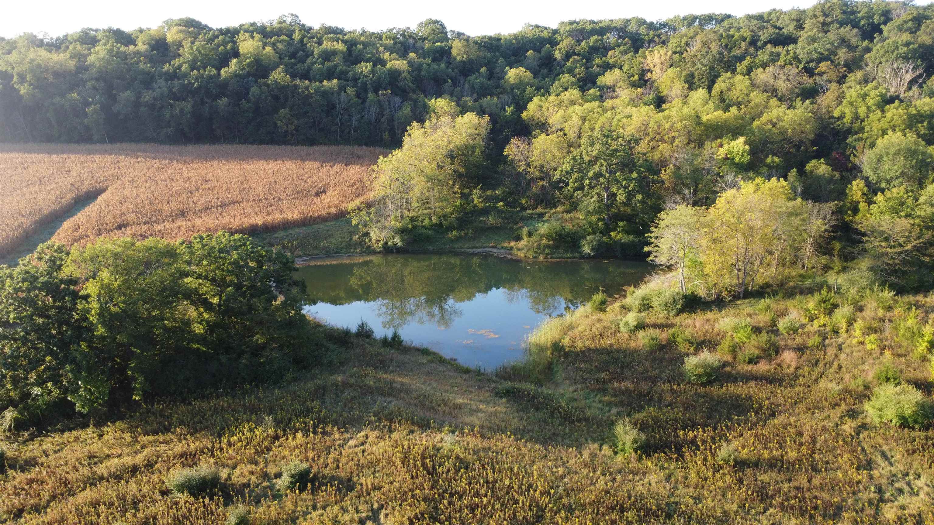 57.83-acres West Menzemer Road Elizabeth, IL 61028 - Photo 36 of 64