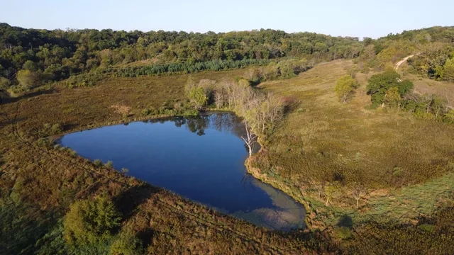 $560,000 | 57.83-acres West Menzemer Road, Elizabeth, IL 61028