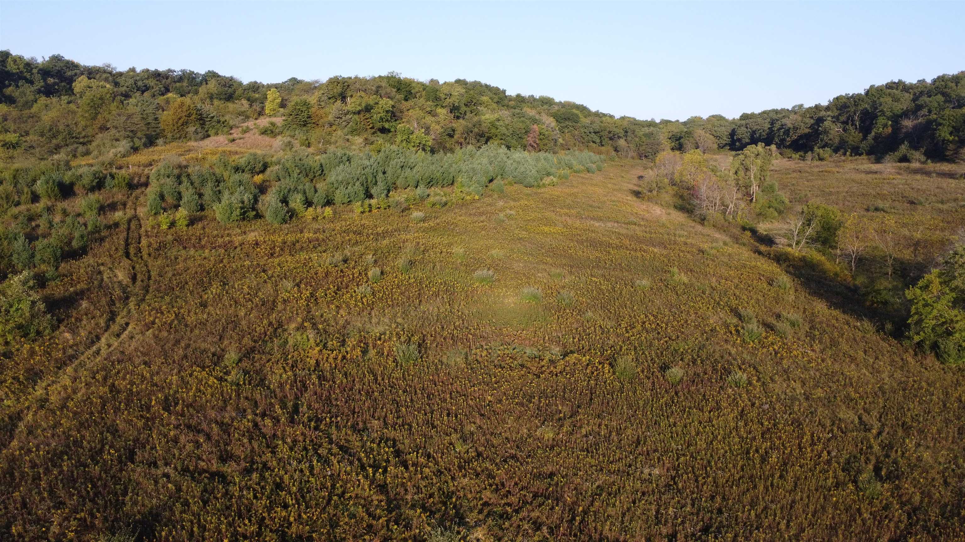 57.83-acres West Menzemer Road Elizabeth, IL 61028 - Photo 38 of 64