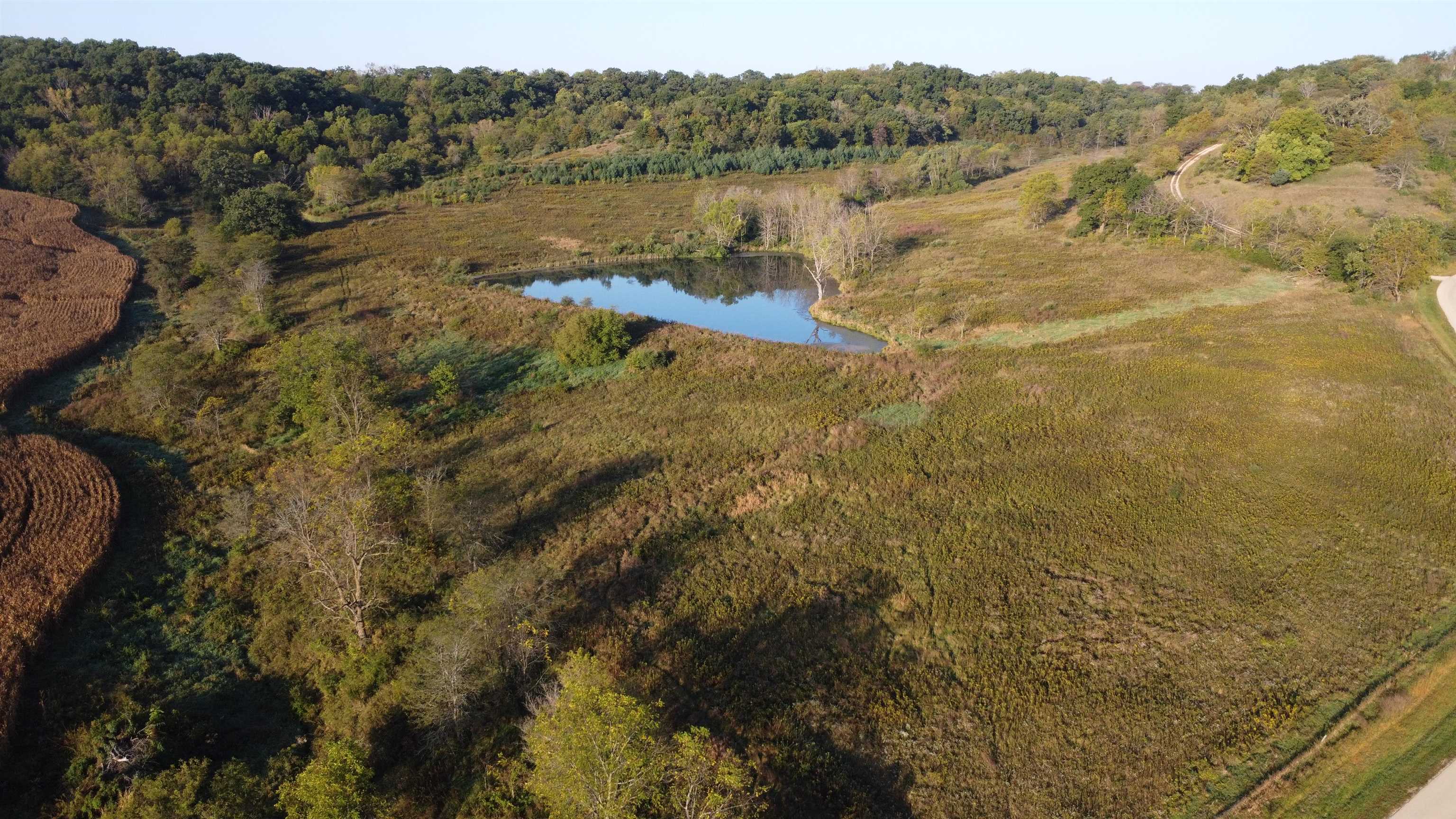 57.83-acres West Menzemer Road Elizabeth, IL 61028 - Photo 40 of 64 a view of lake with mountain
