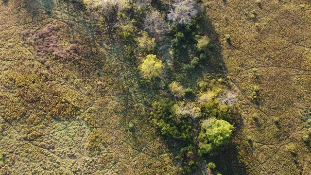 $560,000 | 57.83-acres West Menzemer Road, Elizabeth, IL 61028