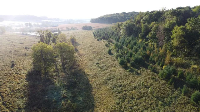 $560,000 | 57.83-acres West Menzemer Road, Elizabeth, IL 61028