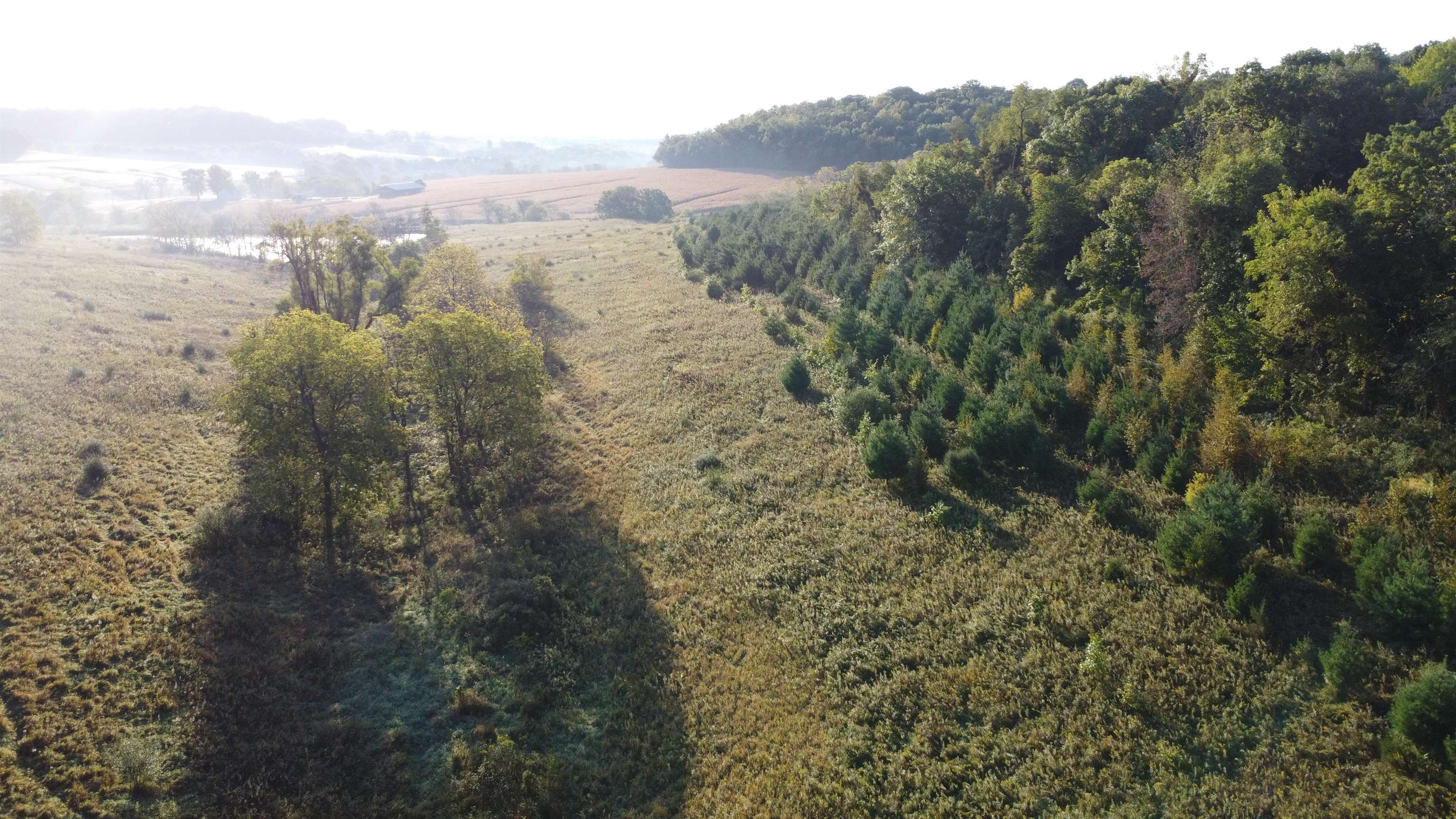 57.83-acres West Menzemer Road Elizabeth, IL 61028 - Photo 42 of 64