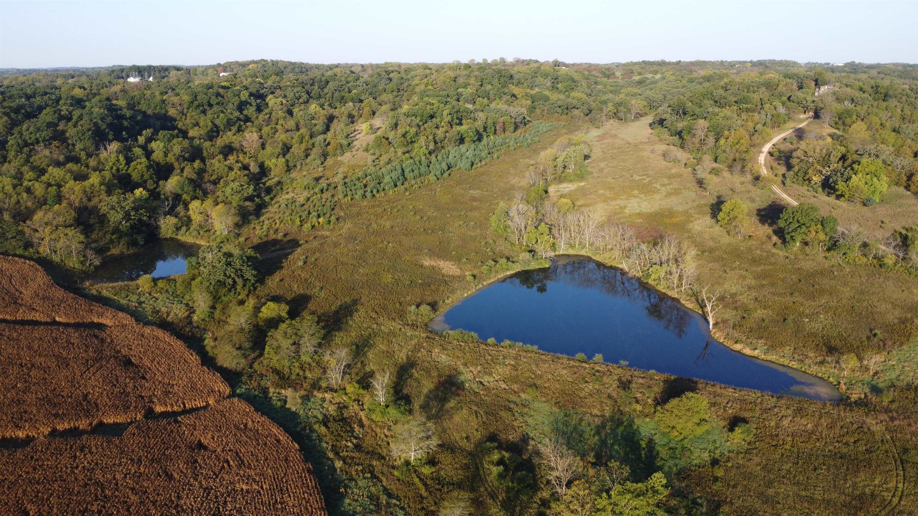 57.83-acres West Menzemer Road Elizabeth, IL 61028 - Photo 43 of 64