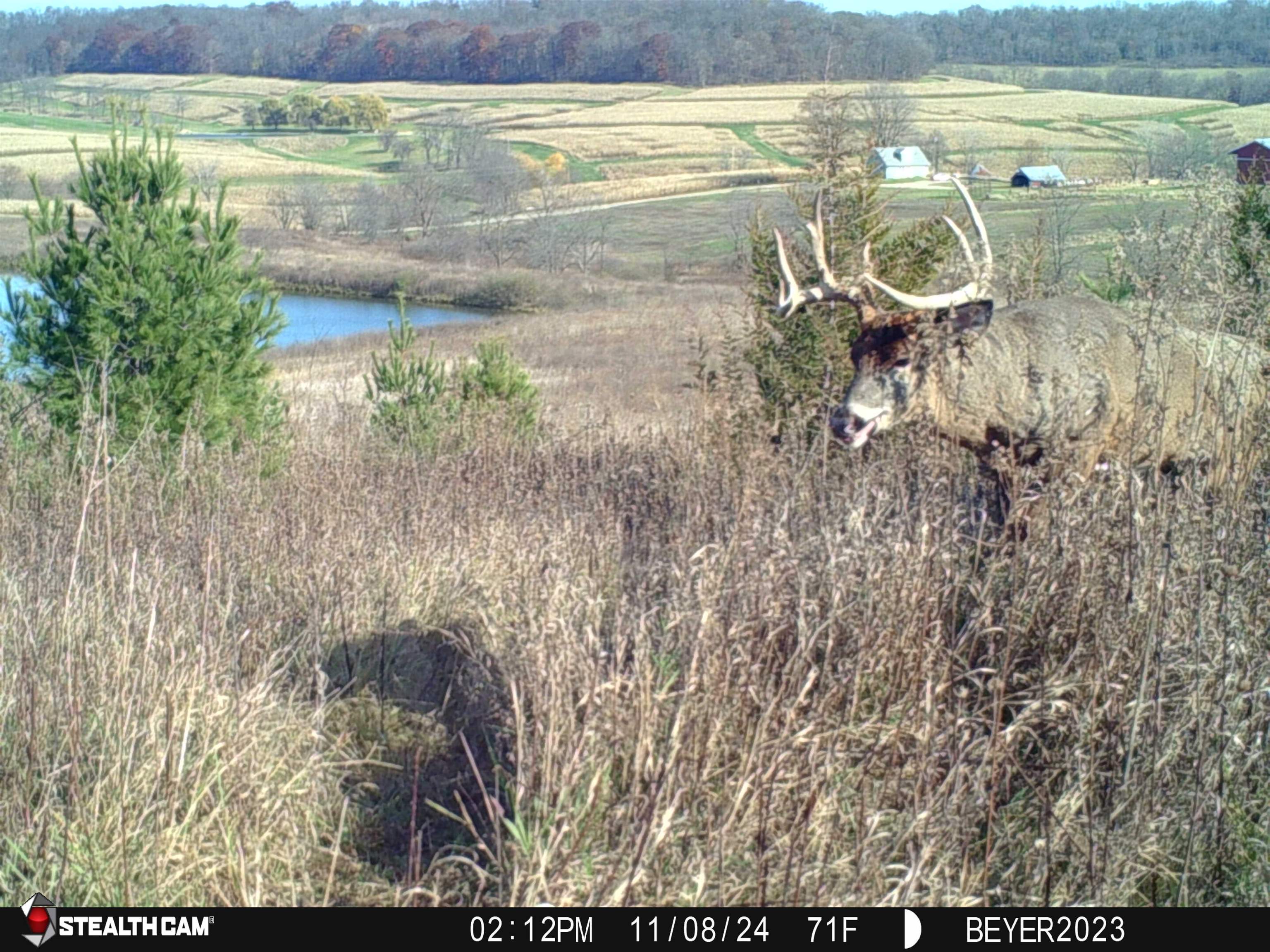57.83-acres West Menzemer Road Elizabeth, IL 61028 - Photo 45 of 64