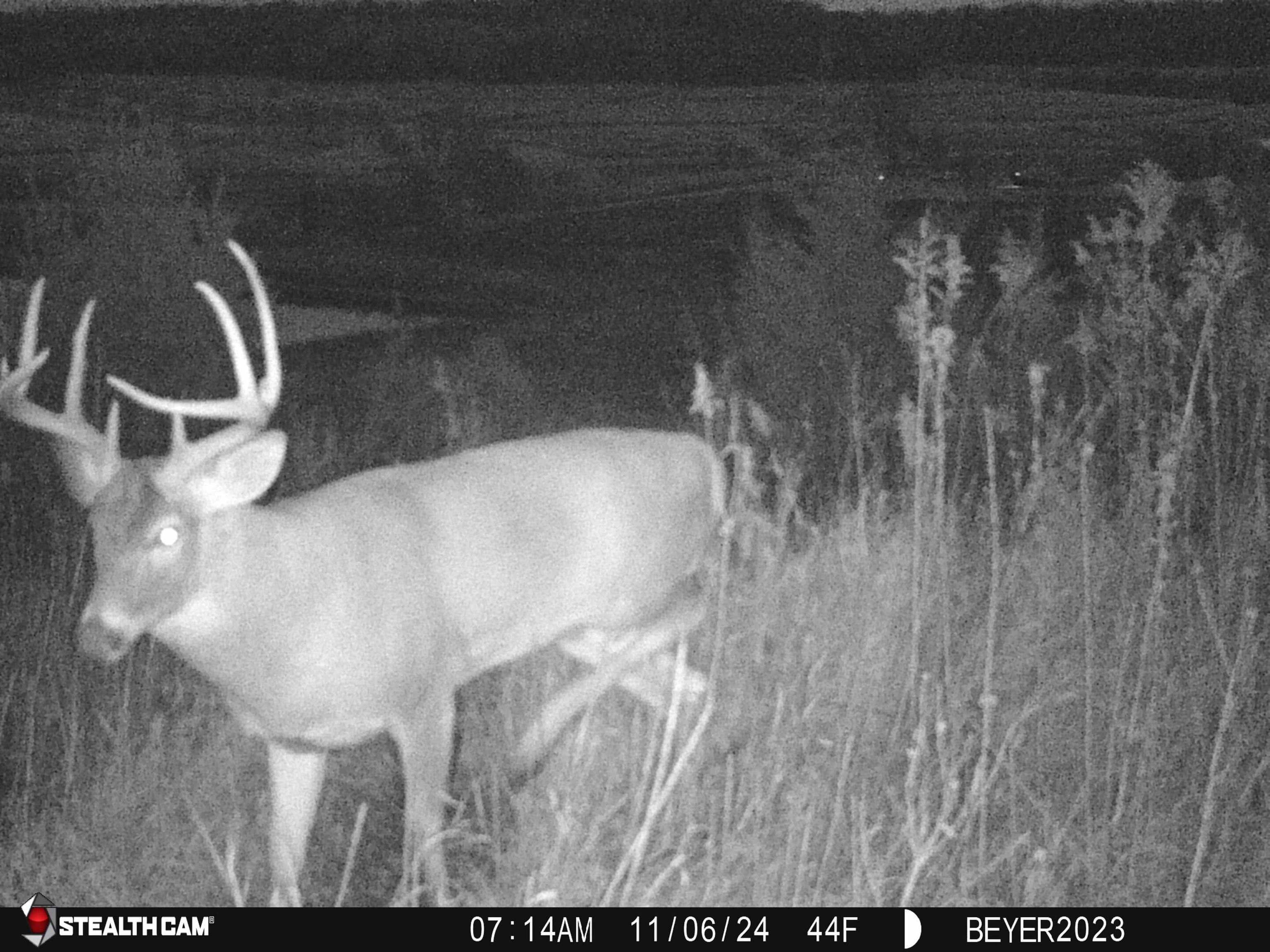 57.83-acres West Menzemer Road Elizabeth, IL 61028 - Photo 47 of 64