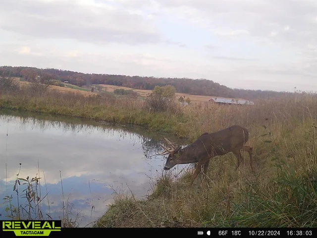 $560,000 | 57.83-acres West Menzemer Road, Elizabeth, IL 61028