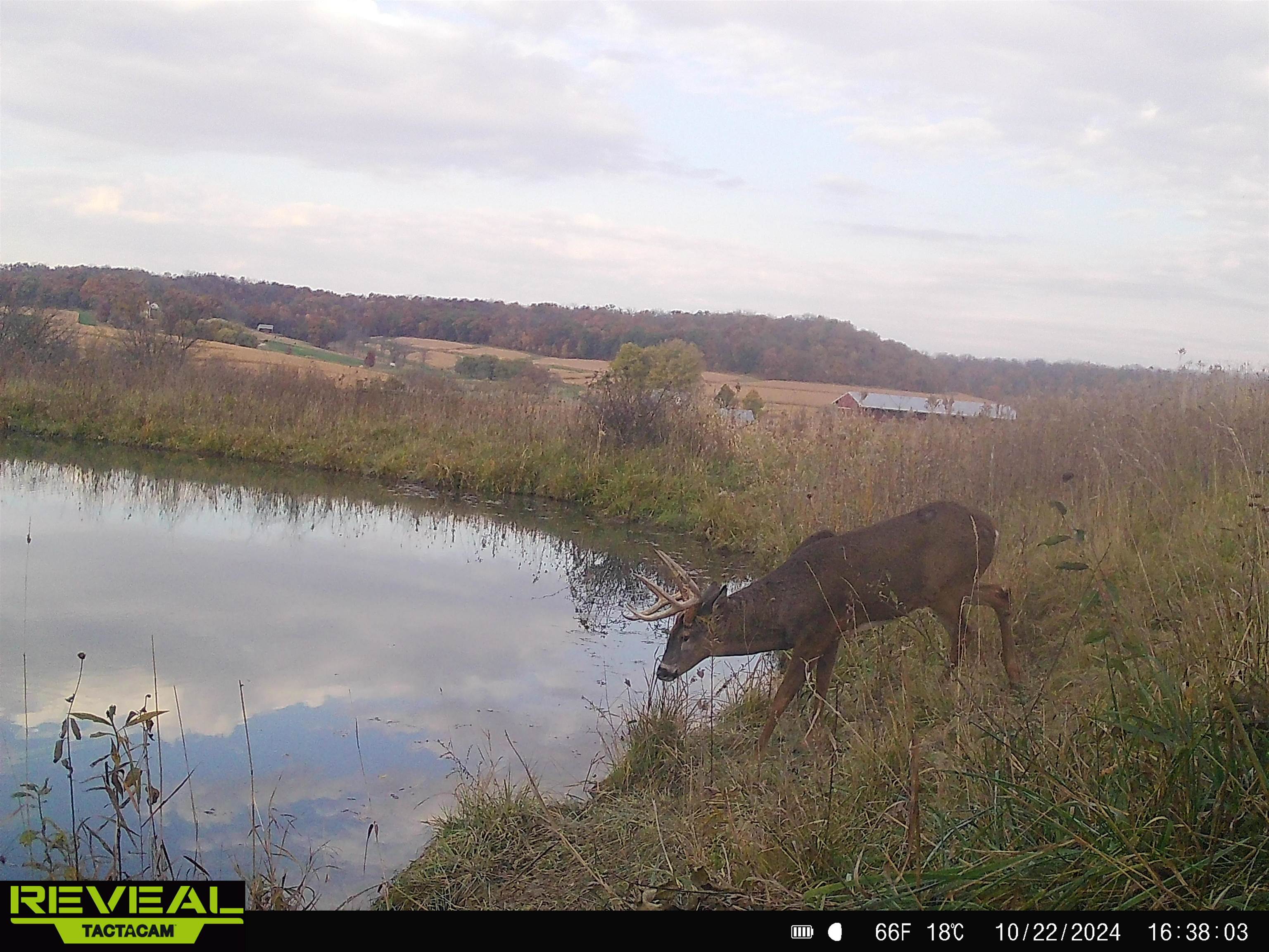 57.83-acres West Menzemer Road Elizabeth, IL 61028 - Photo 48 of 64