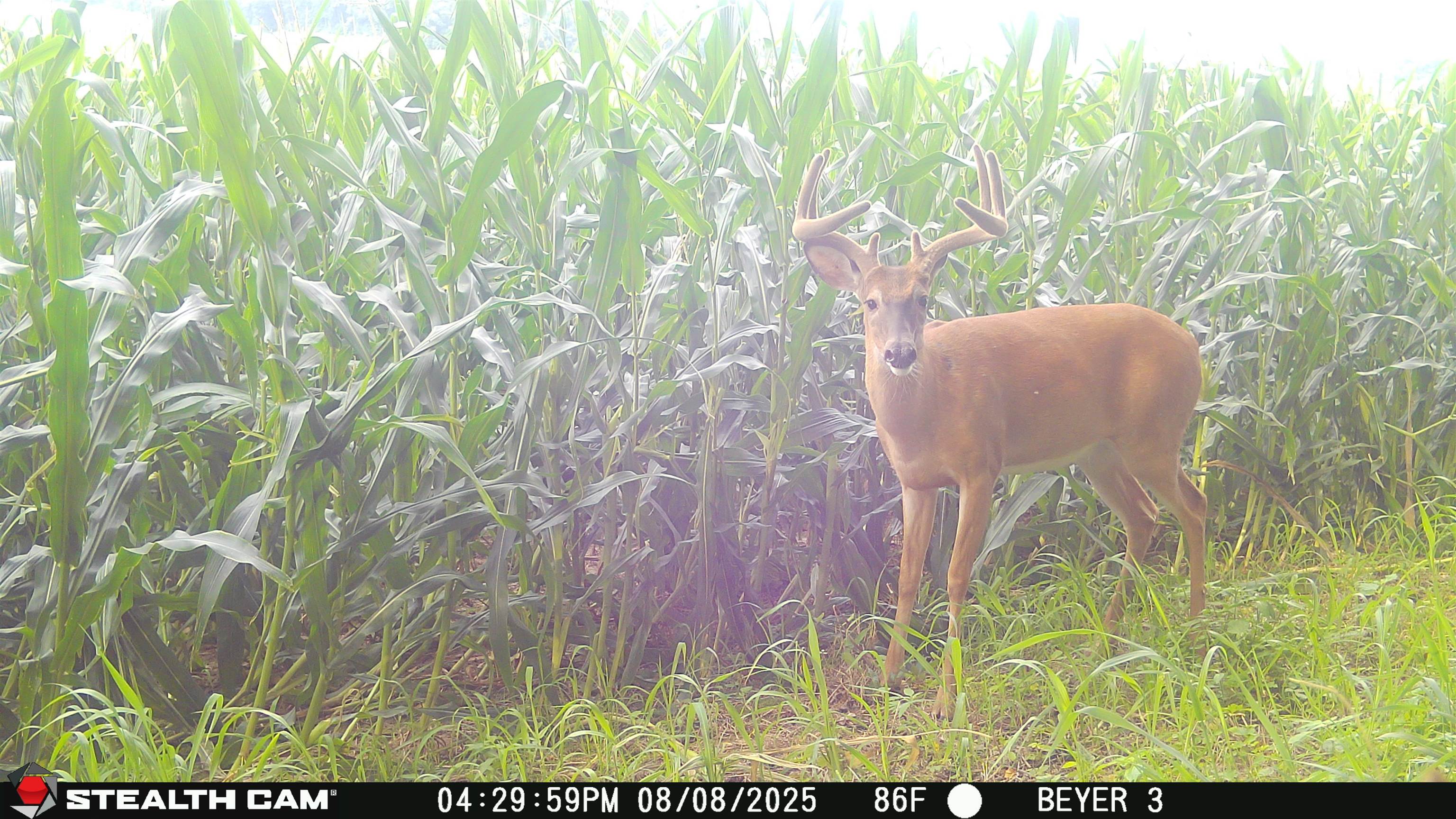 57.83-acres West Menzemer Road Elizabeth, IL 61028 - Photo 50 of 64