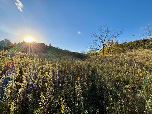 $560,000 | 57.83-acres West Menzemer Road, Elizabeth, IL 61028