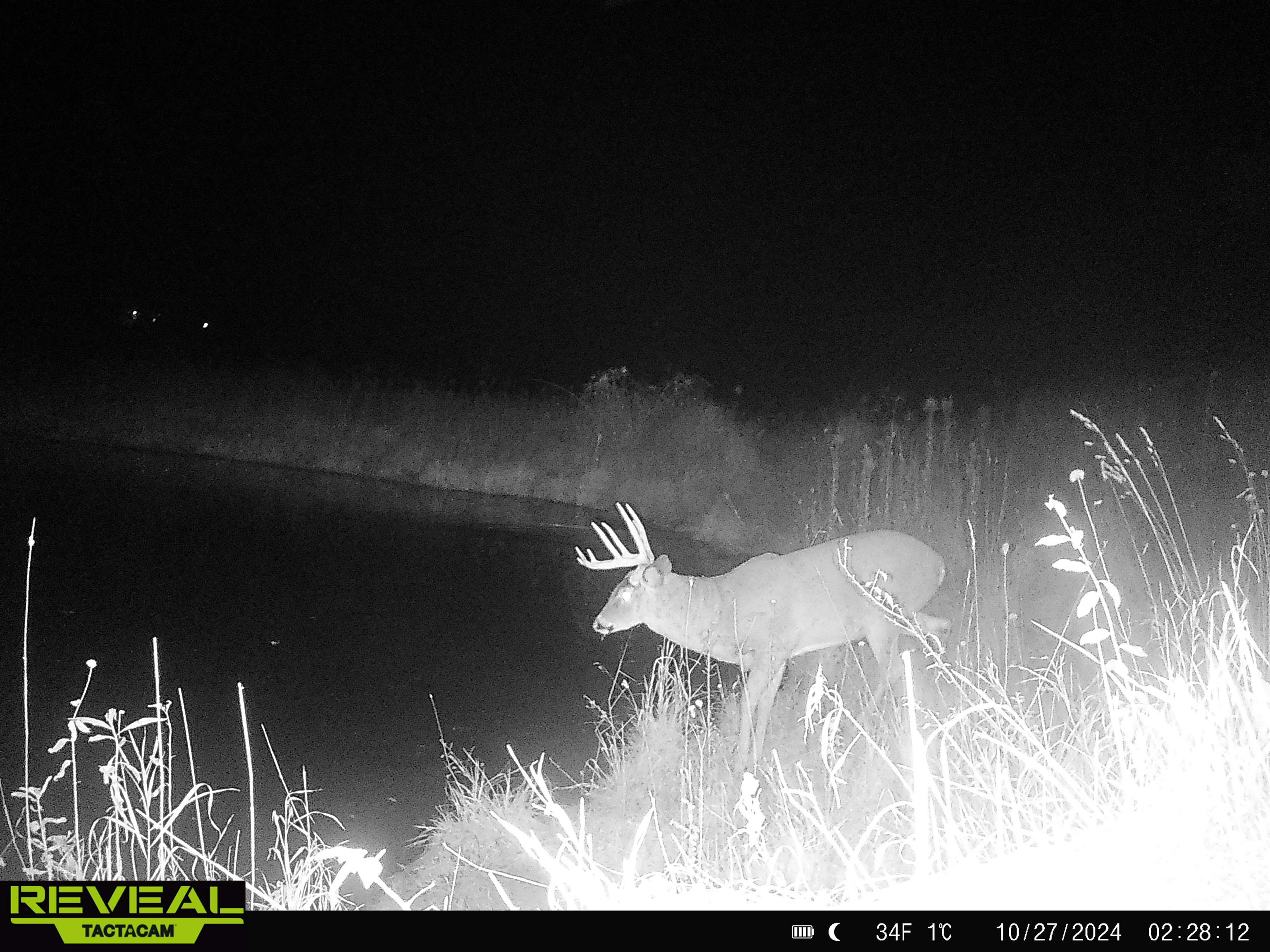 57.83-acres West Menzemer Road Elizabeth, IL 61028 - Photo 52 of 64