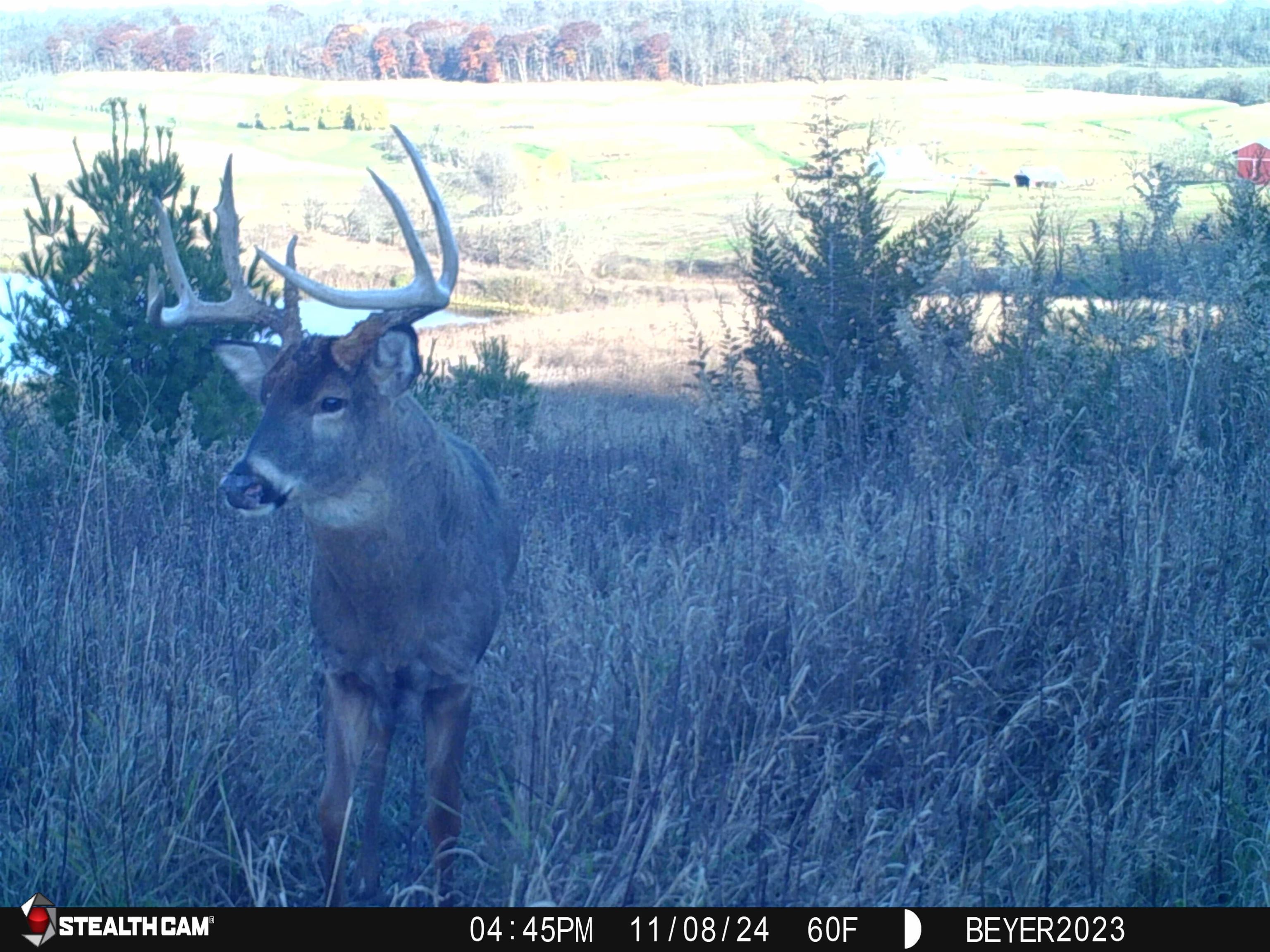 57.83-acres West Menzemer Road Elizabeth, IL 61028 - Photo 52 of 64 a view of a yard with an outdoor space and seating area