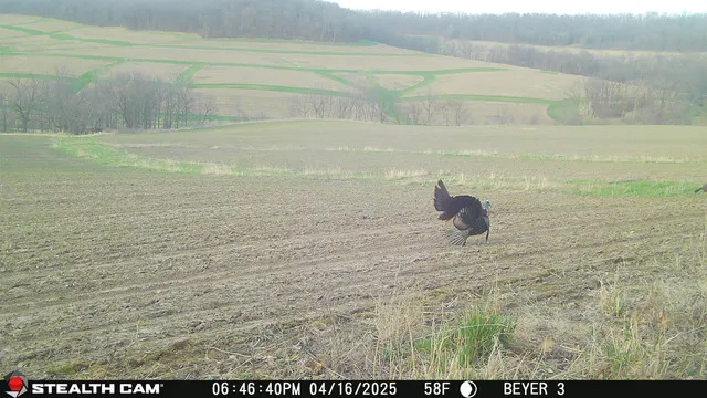 $560,000 | 57.83-acres West Menzemer Road, Elizabeth, IL 61028