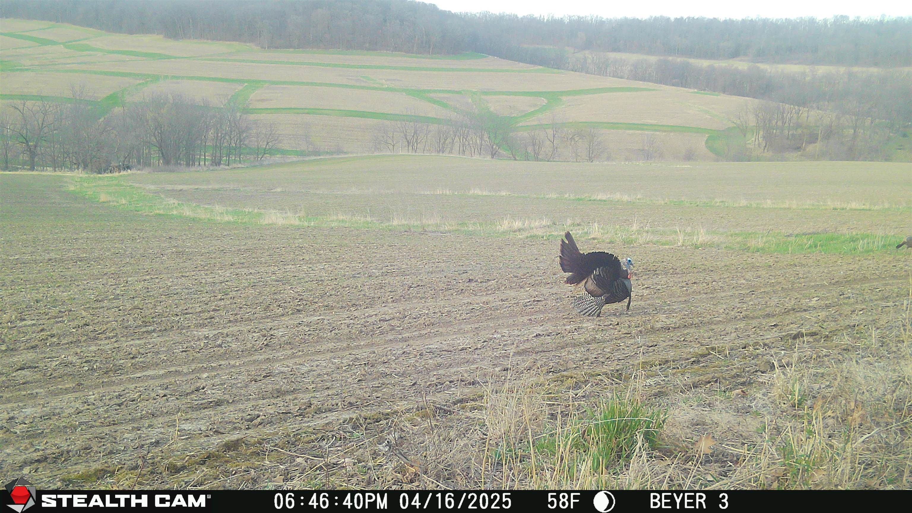 57.83-acres West Menzemer Road Elizabeth, IL 61028 - Photo 53 of 64