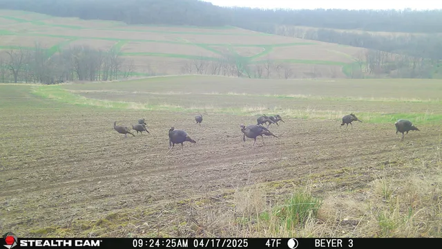 $560,000 | 57.83-acres West Menzemer Road, Elizabeth, IL 61028