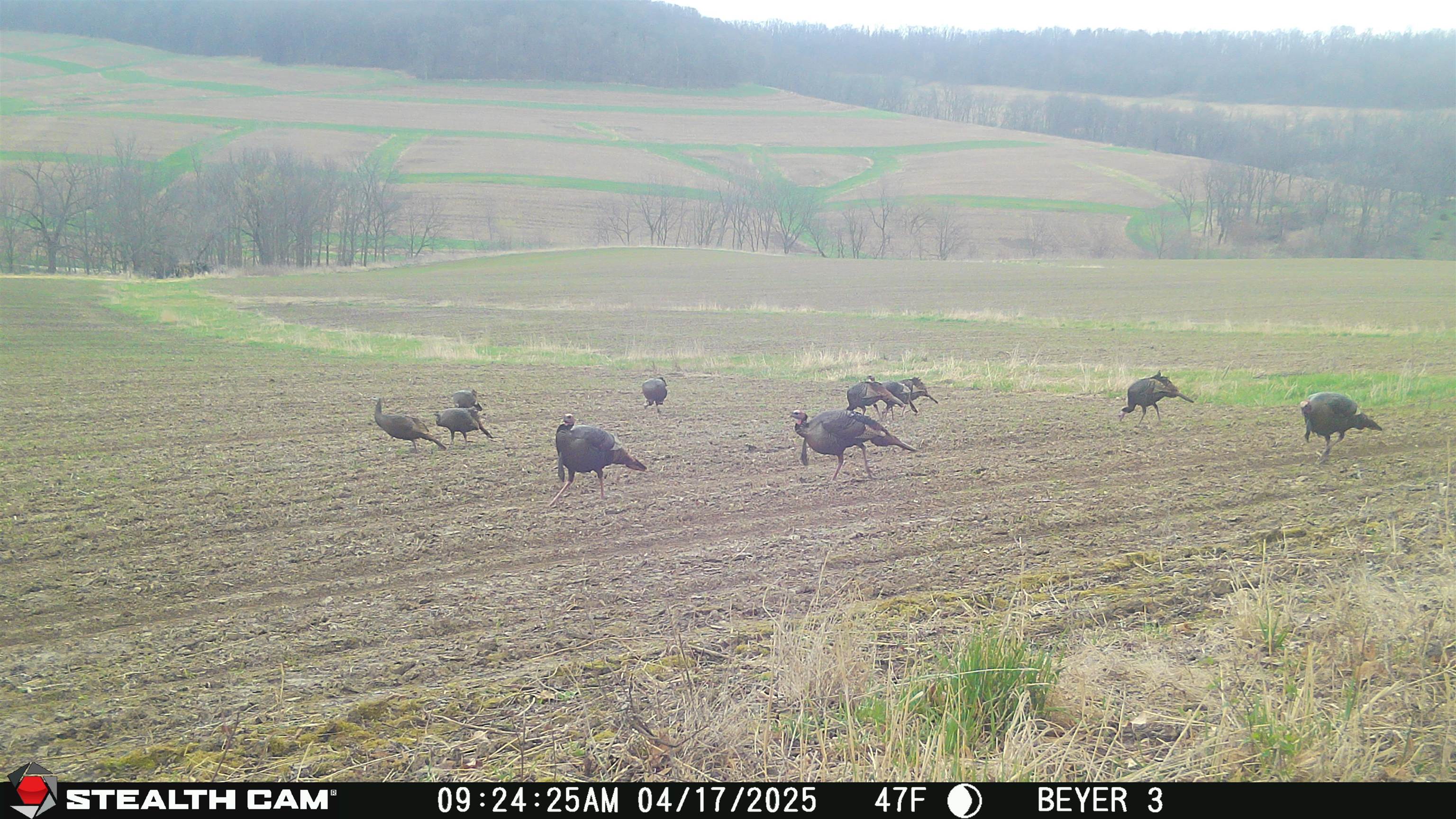 57.83-acres West Menzemer Road Elizabeth, IL 61028 - Photo 54 of 64