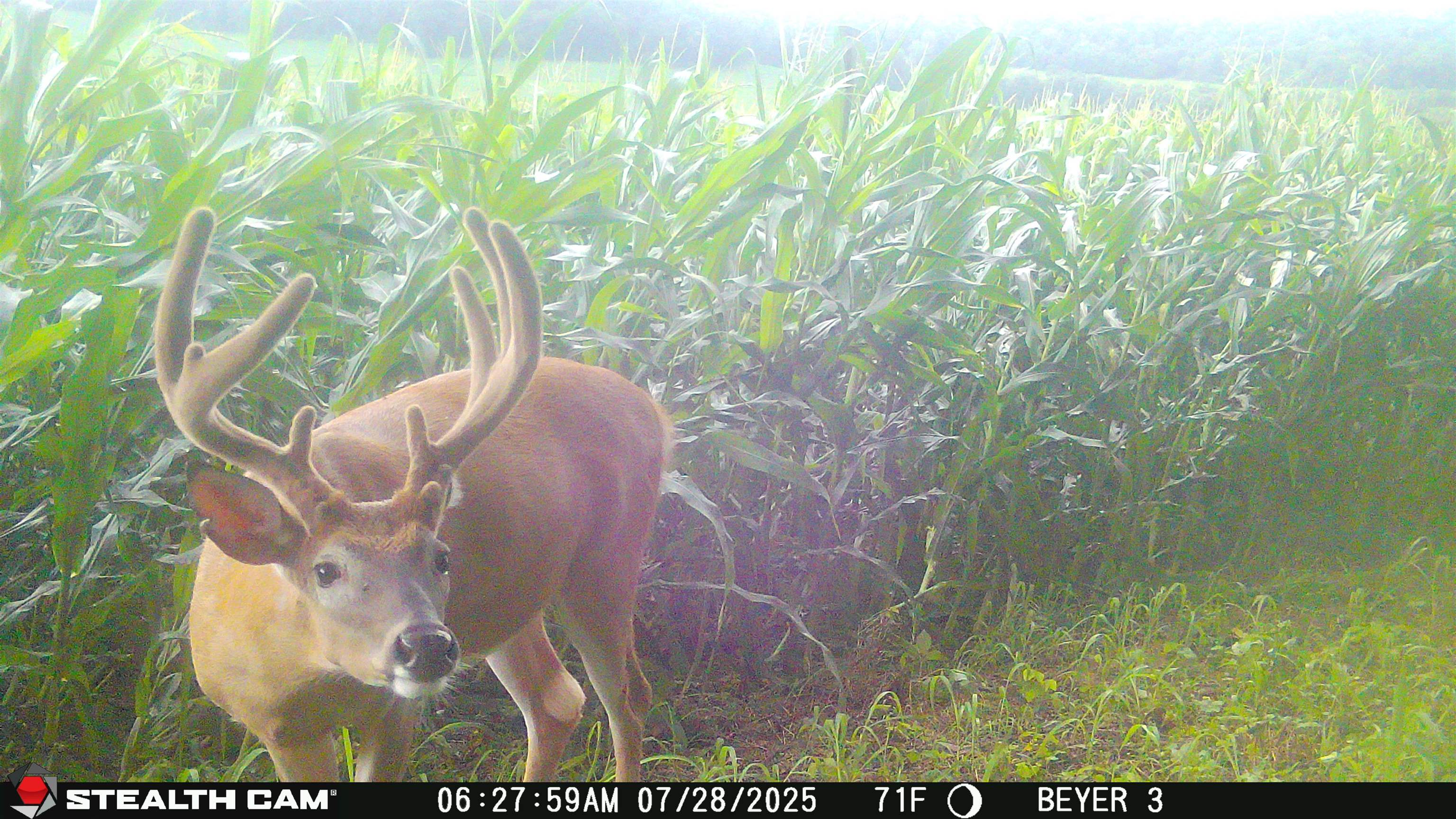 57.83-acres West Menzemer Road Elizabeth, IL 61028 - Photo 55 of 64
