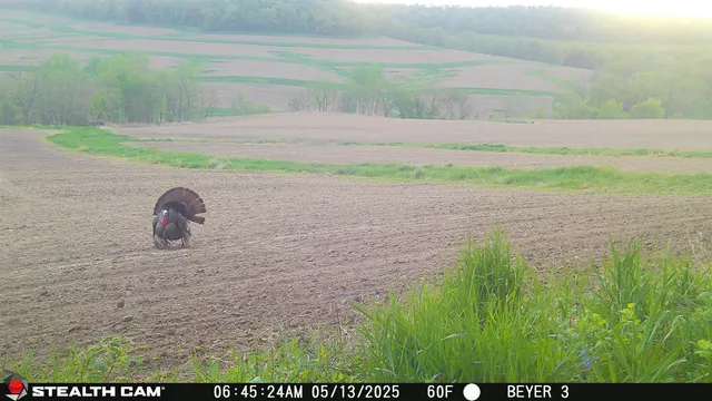 $560,000 | 57.83-acres West Menzemer Road, Elizabeth, IL 61028