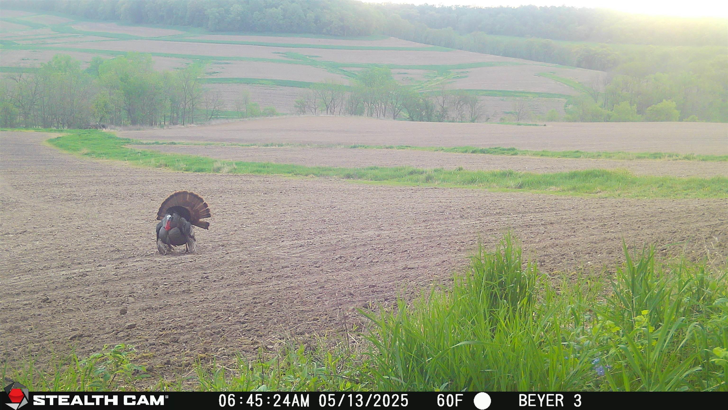 57.83-acres West Menzemer Road Elizabeth, IL 61028 - Photo 55 of 64