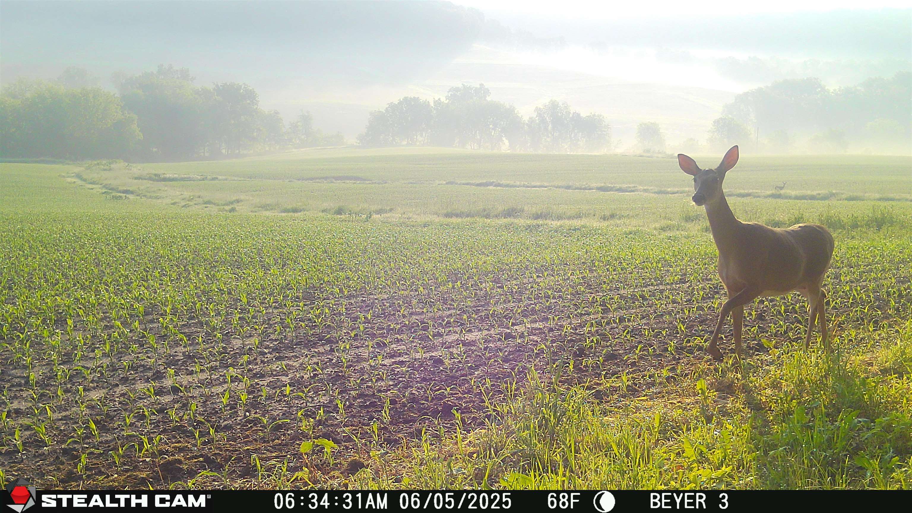 57.83-acres West Menzemer Road Elizabeth, IL 61028 - Photo 56 of 64