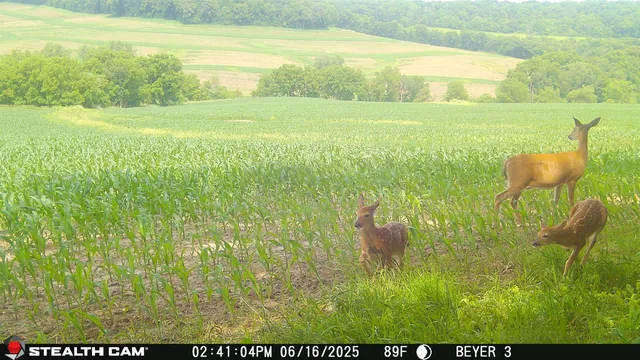 $560,000 | 57.83-acres West Menzemer Road, Elizabeth, IL 61028
