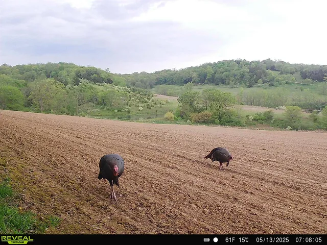 $560,000 | 57.83-acres West Menzemer Road, Elizabeth, IL 61028