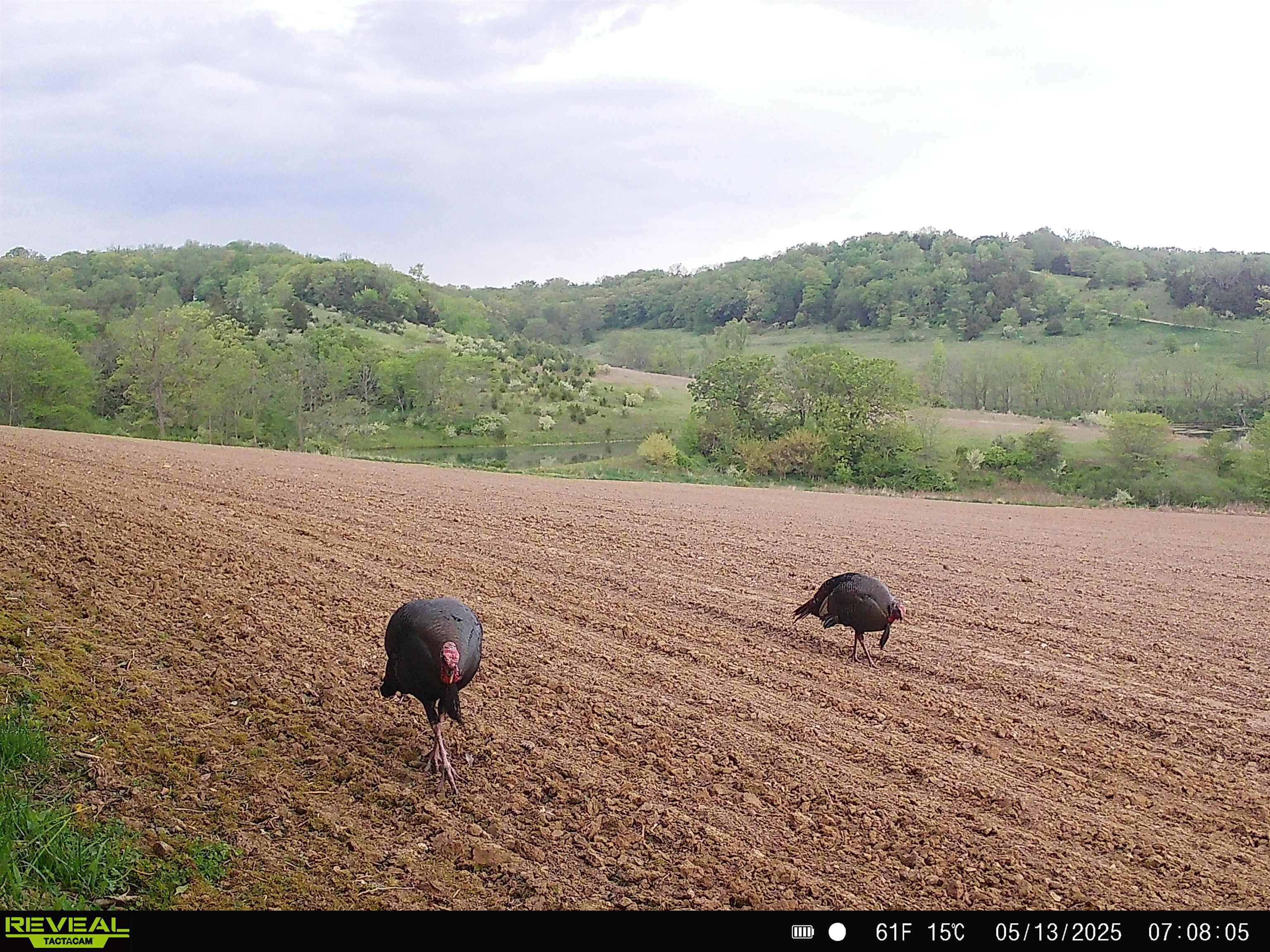 57.83-acres West Menzemer Road Elizabeth, IL 61028 - Photo 58 of 64