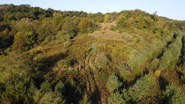 $560,000 | 57.83-acres West Menzemer Road, Elizabeth, IL 61028