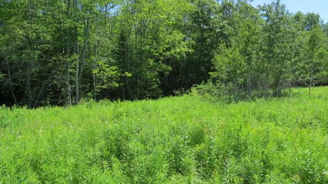 171 Red Bridge Road Ellsworth, ME 04605 - Photo 23 of 29 Photo