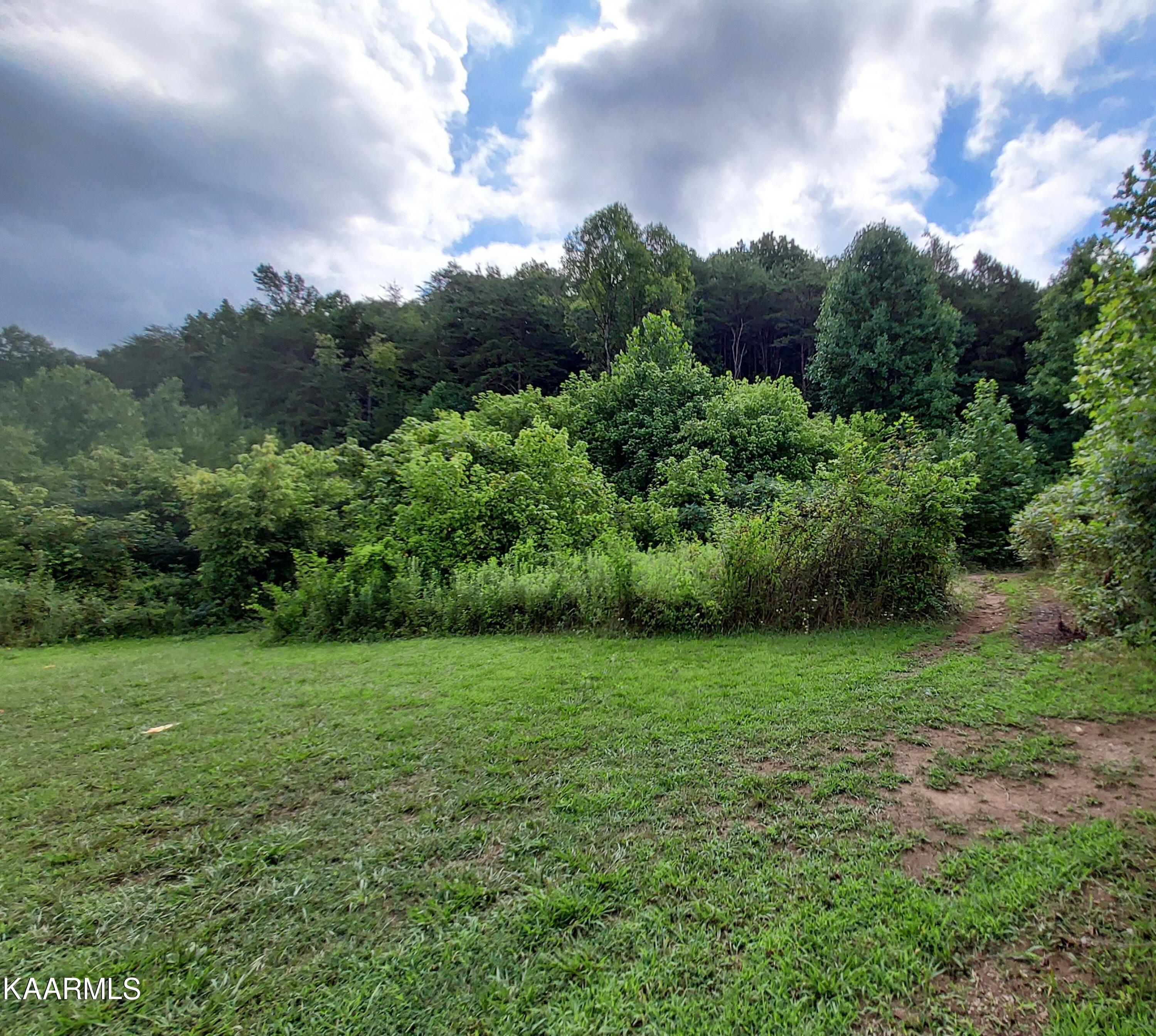 1893 Back Valley Road Sneedville, TN 37869 - Photo 3 of 8 FRONT FIELD