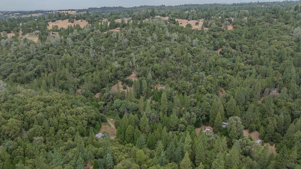 18101 Old River Road Fiddletown, CA 95629 - Photo 41 of 53 Gallery Image 41